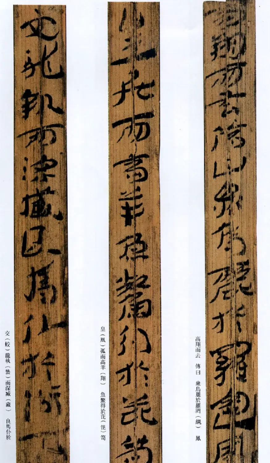 西汉草隶书法竹简《神乌傅》高清本 | 书法作品鉴赏