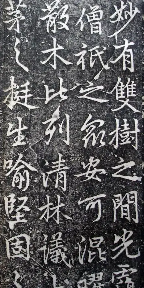 李北海李邕行书欣赏《娑罗树碑记》 | 书法碑帖