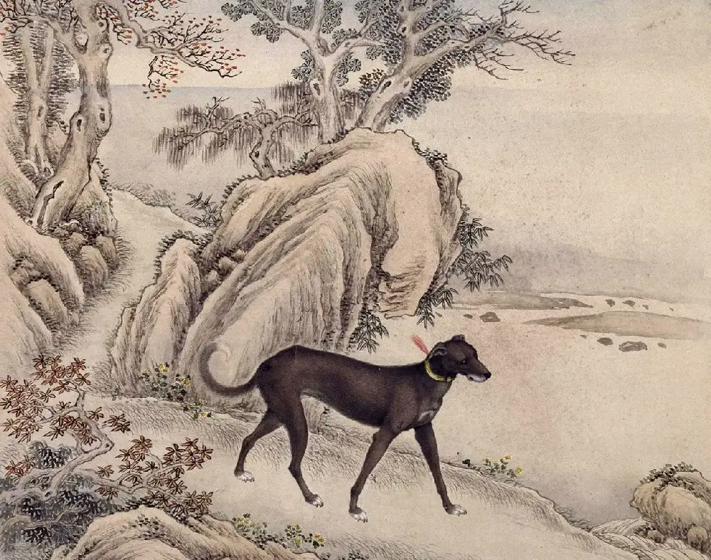 清代嵇璜书法+艾启蒙绘画《十骏犬图册》 | 传世书法作品鉴赏
