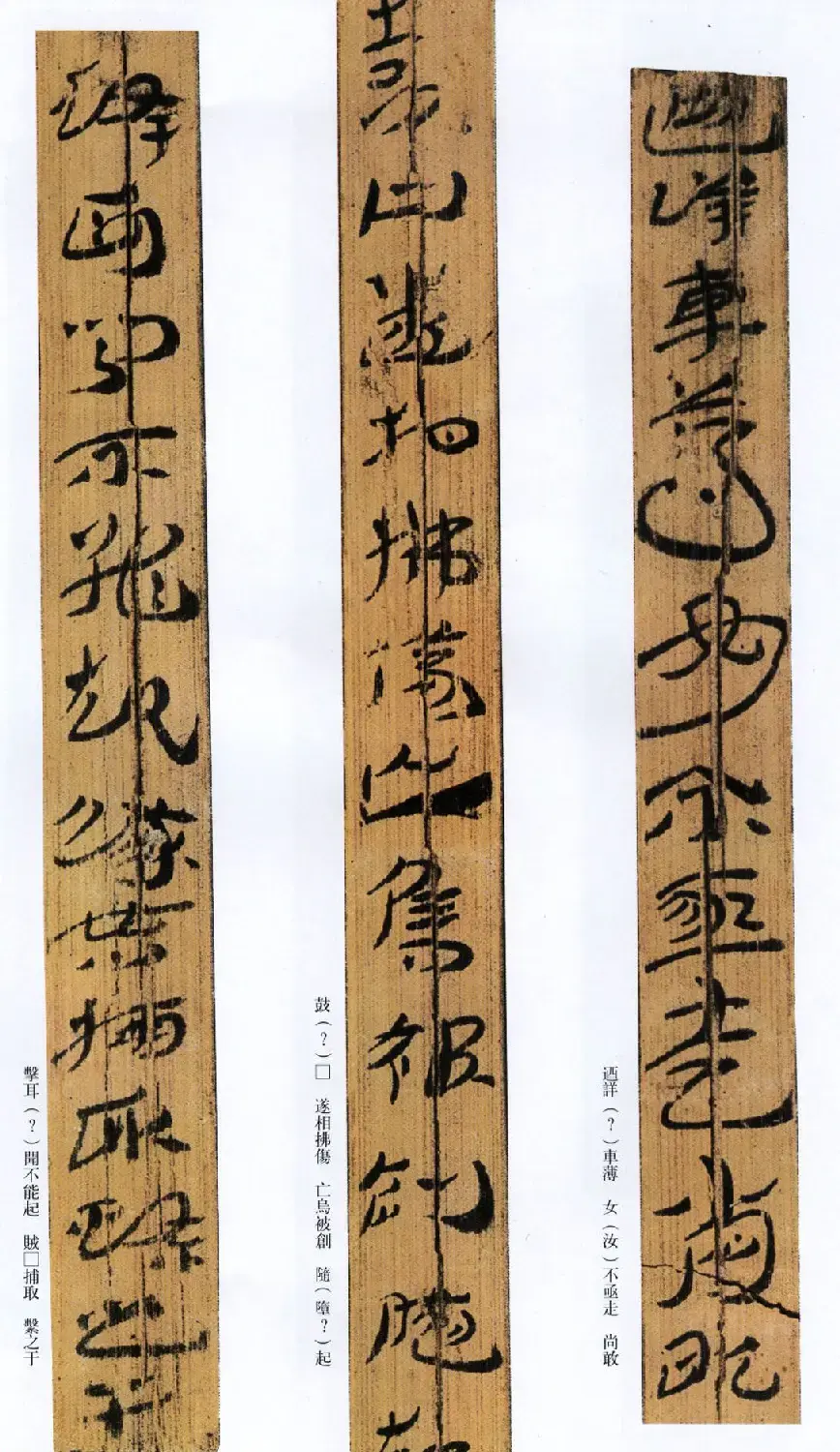 西汉草隶书法竹简《神乌傅》高清本 | 书法作品鉴赏