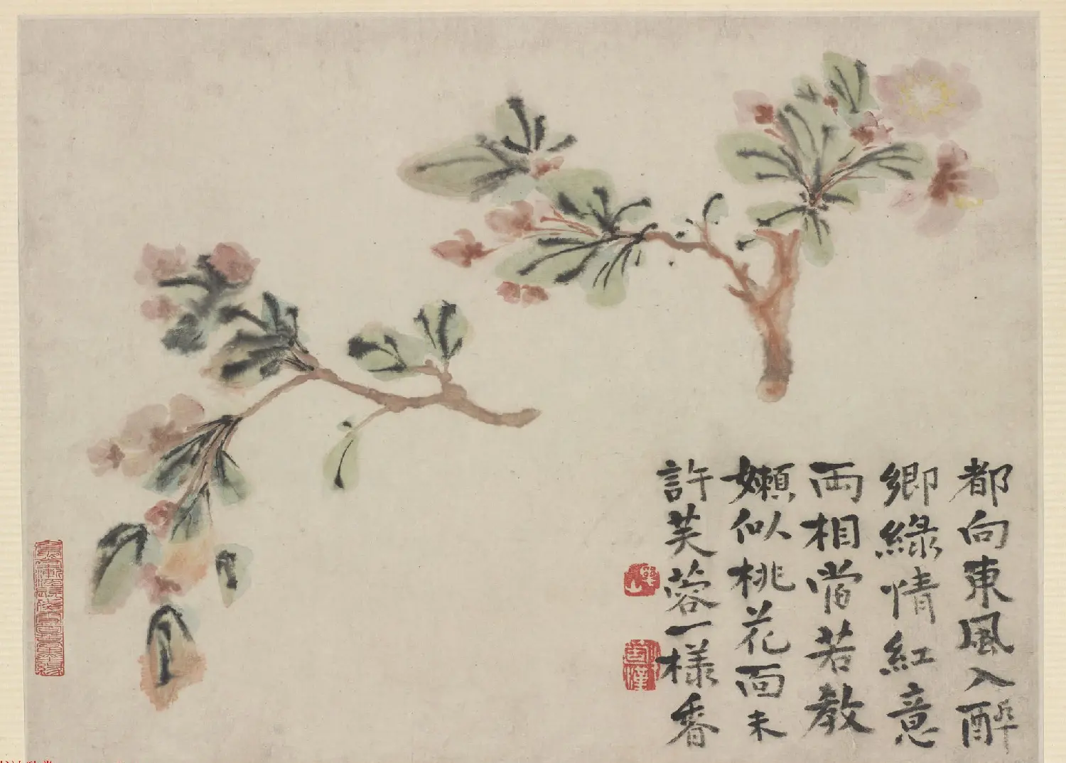 清代画家石涛花卉图册 美国弗利尔美术馆藏 | 传世书法作品鉴赏
