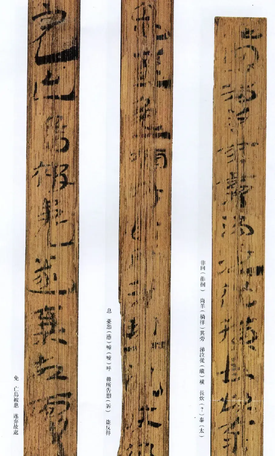 西汉草隶书法竹简《神乌傅》高清本 | 书法作品鉴赏