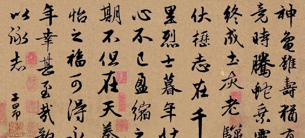 手机字帖：赵孟頫行书集字《龟虽寿》 | 书法作品欣赏