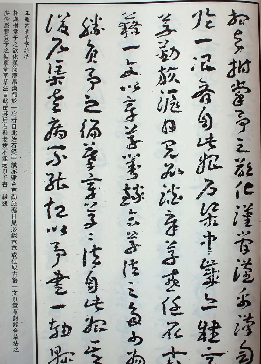 王蘧常草书欣赏《章草字典序》 | 软笔书法作品