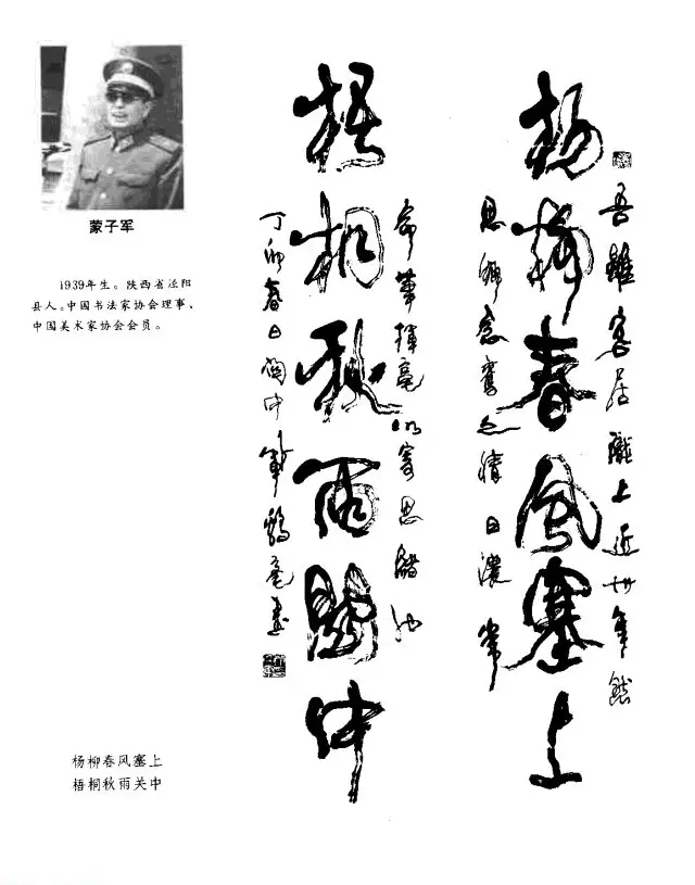 中日书法百家墨迹精华-中国书家作品 | 软笔字帖范本