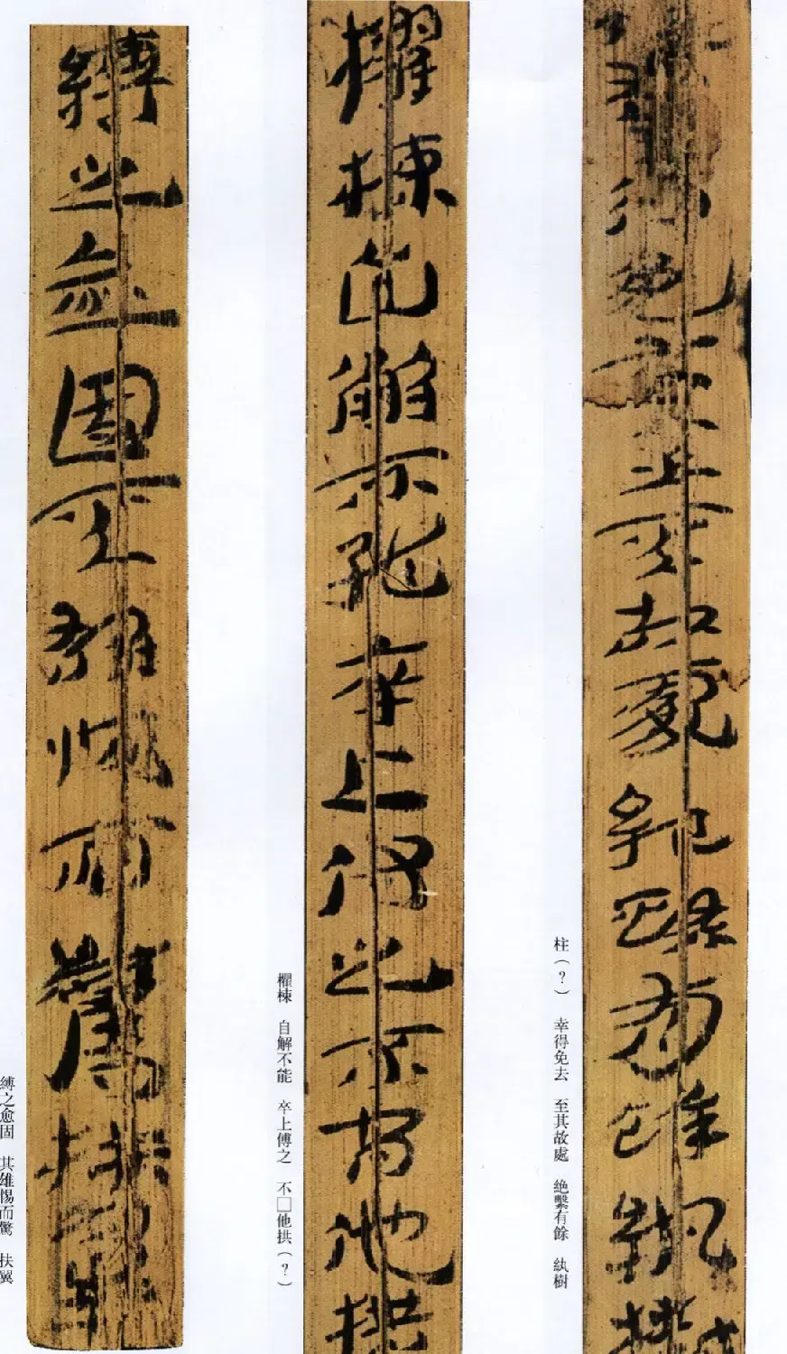 西汉草隶书法竹简《神乌傅》高清本 | 书法作品鉴赏