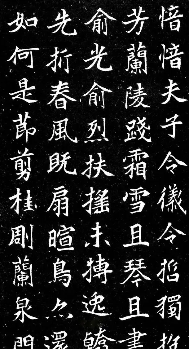 北魏《故处士元君墓志铭》 | 墓志塔铭