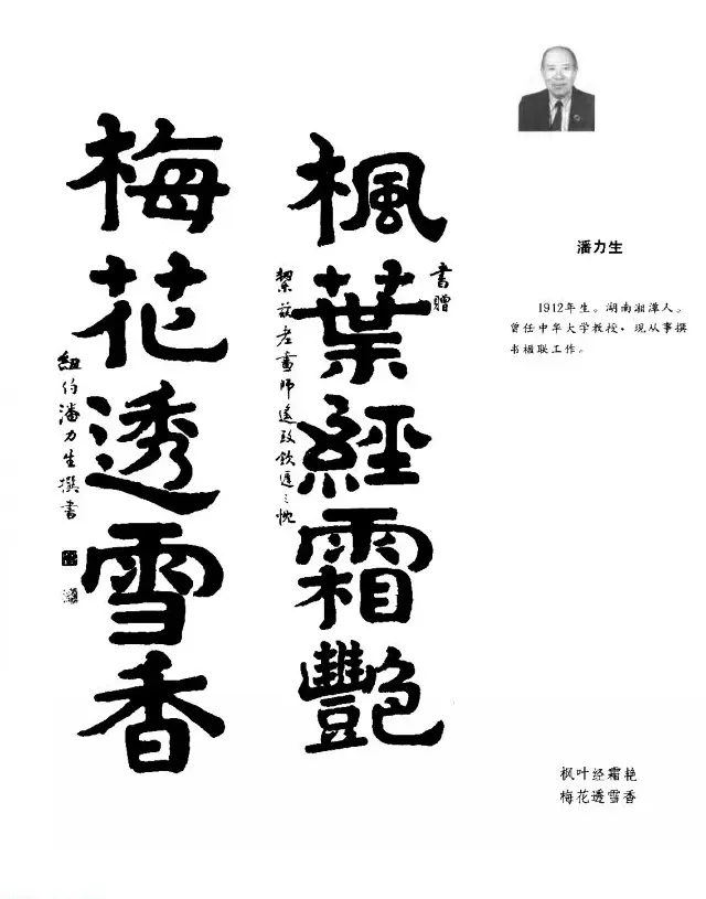 中日书法百家墨迹精华-中国书家作品 | 软笔字帖范本