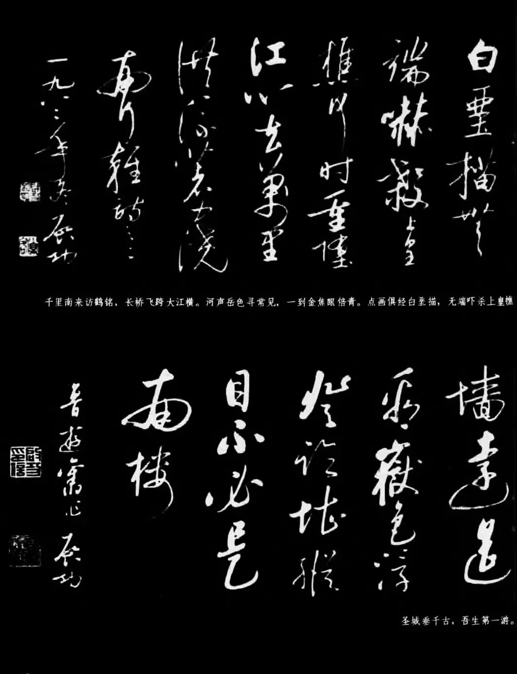 现代书法作品集《启功书法选》 | 毛笔字帖范本