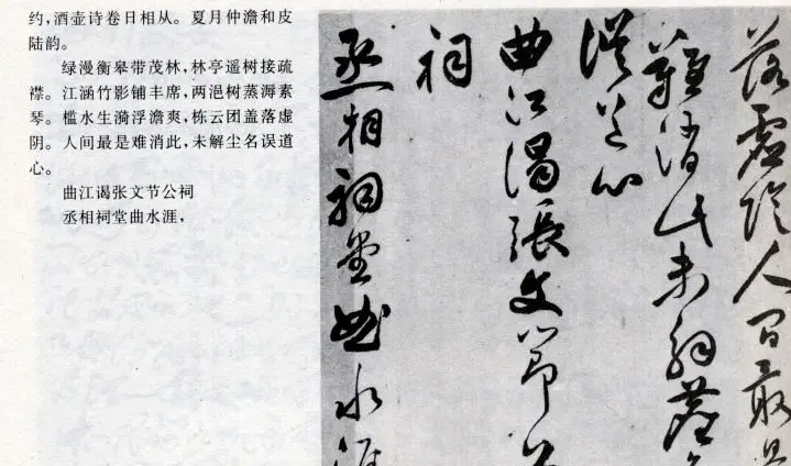 祝允明草书欣赏《闲居秋日诗卷》 | 名家书法作品精选