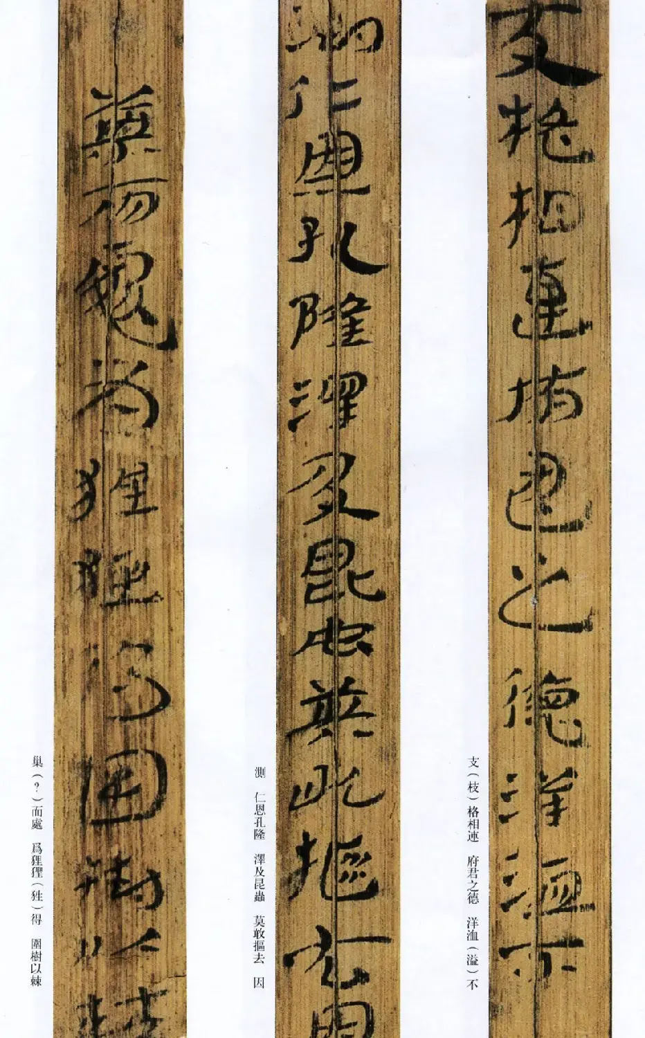 西汉草隶书法竹简《神乌傅》高清本 | 书法作品鉴赏