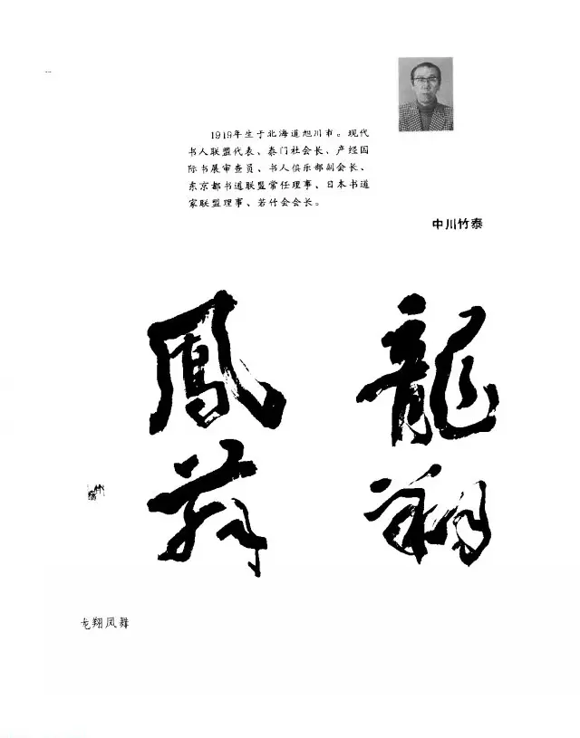 中日书法百家墨迹精华-日本书家作品 | 软笔字帖范本