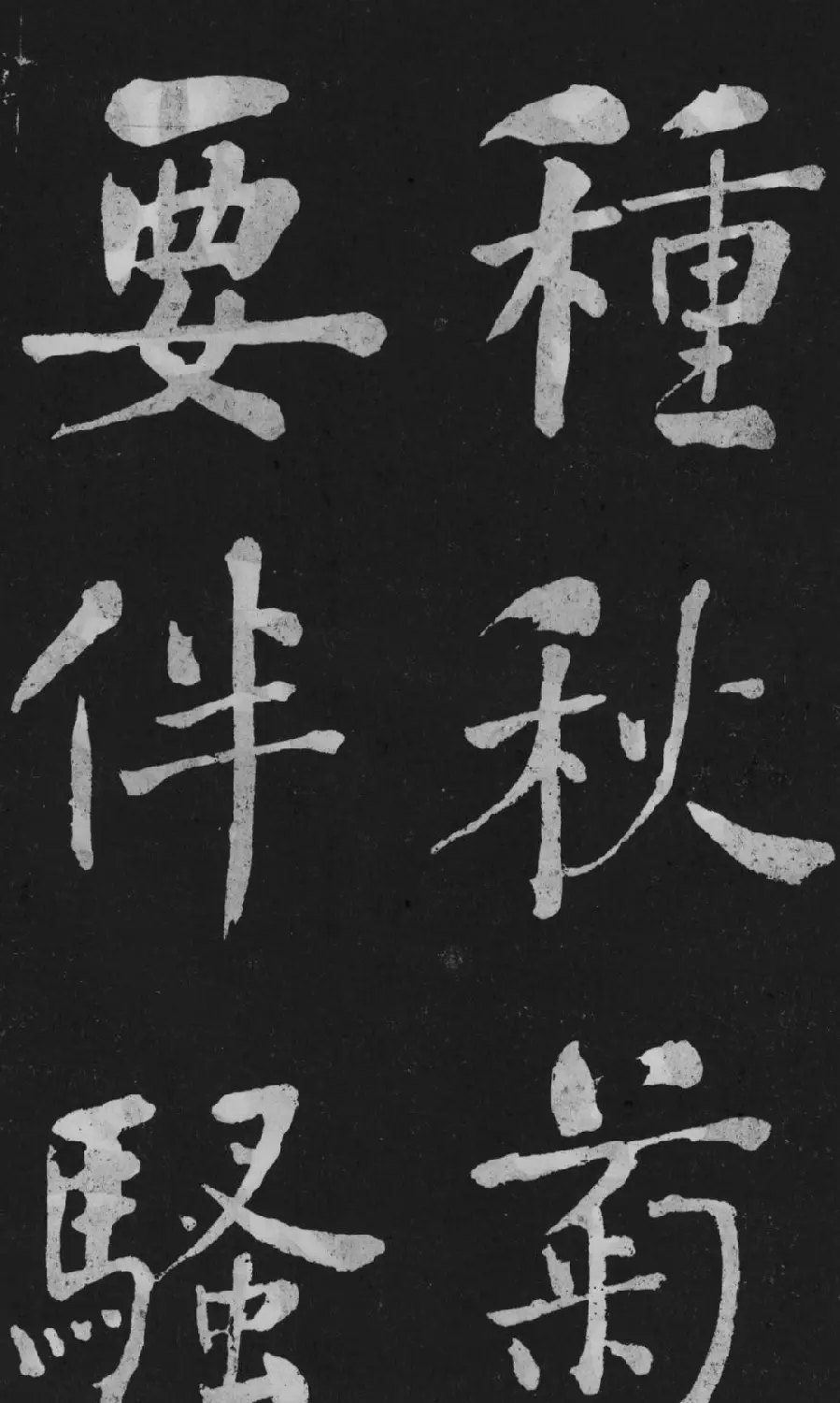 清代书法家何绍基楷书欣赏《东坡诗册》 | 名家书法作品精选