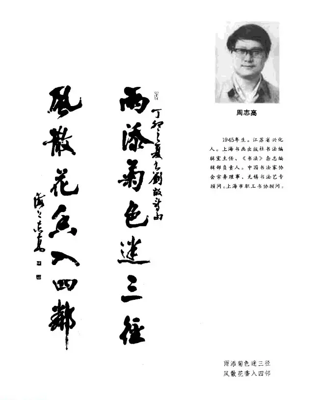 中日书法百家墨迹精华-中国书家作品 | 软笔字帖范本