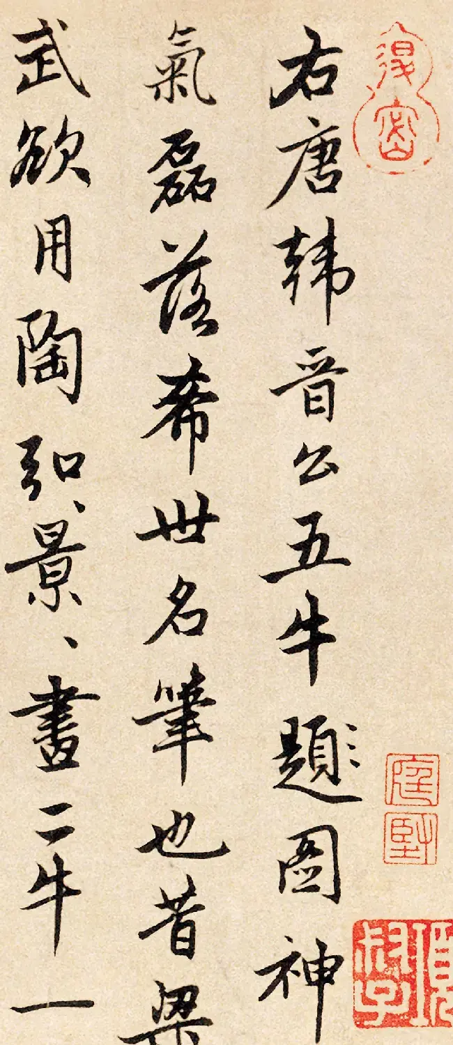 赵孟頫行书三跋《韩滉五牛图卷》 | 书法名家作品欣赏