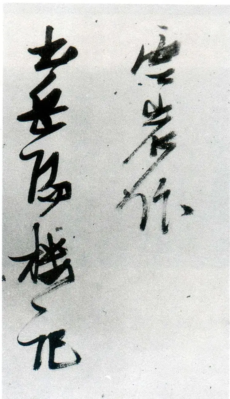 张瑞图行草书法鉴赏《岳阳楼记并诗册》 | 书法名家作品欣赏