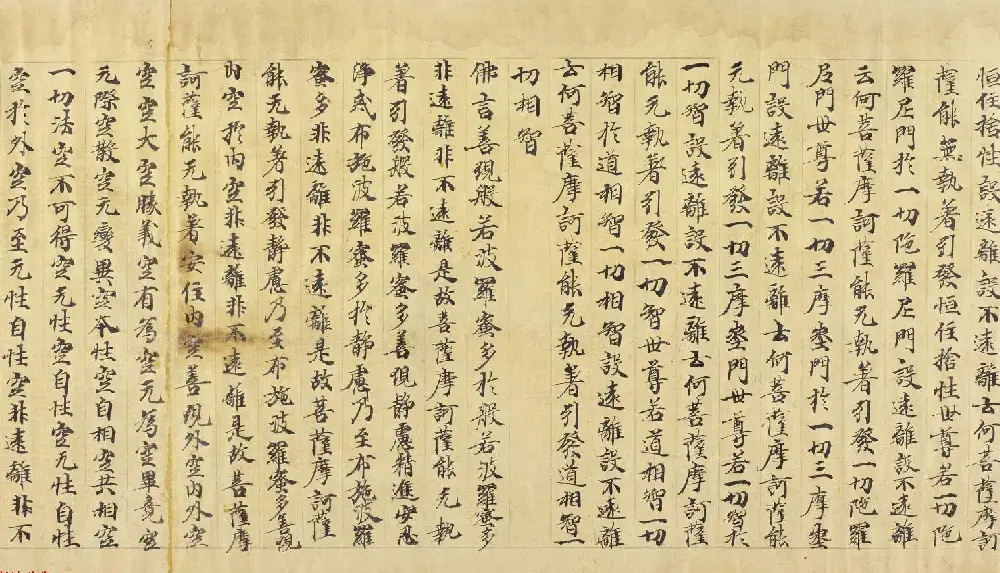 大般若波罗密多经卷第三百五十四 丹麦皇家图书馆藏 | 敦煌写经赏析