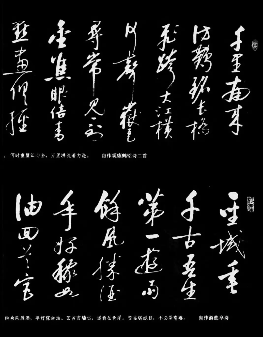 现代书法作品集《启功书法选》 | 毛笔字帖范本