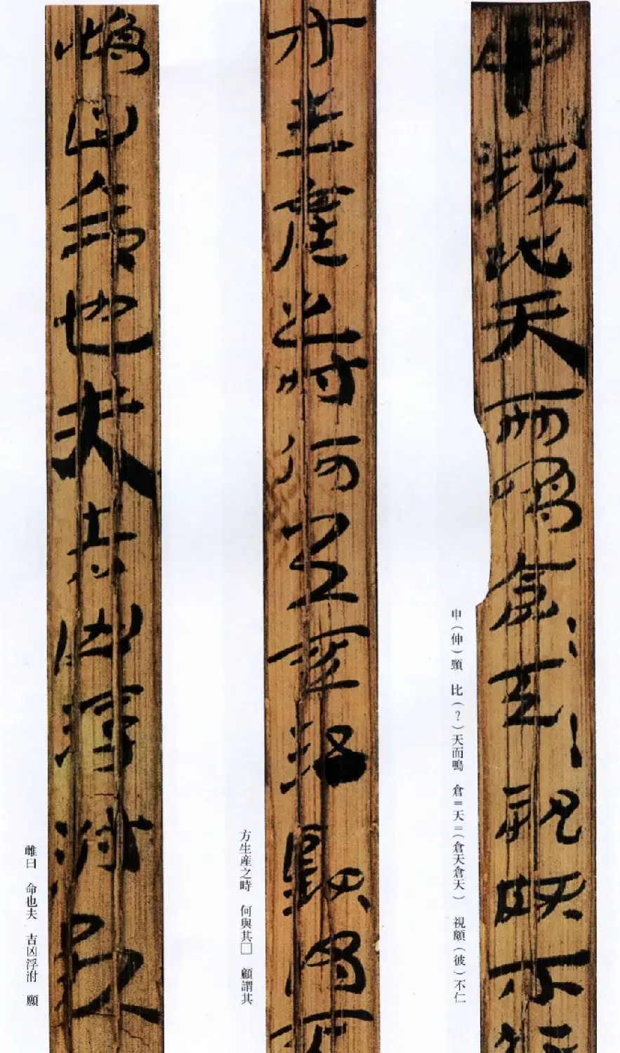 西汉草隶书法竹简《神乌傅》高清本 | 书法作品鉴赏