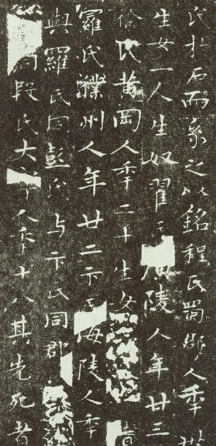 明代著名书法家宋克楷书《七姬志》 | 墓志塔铭