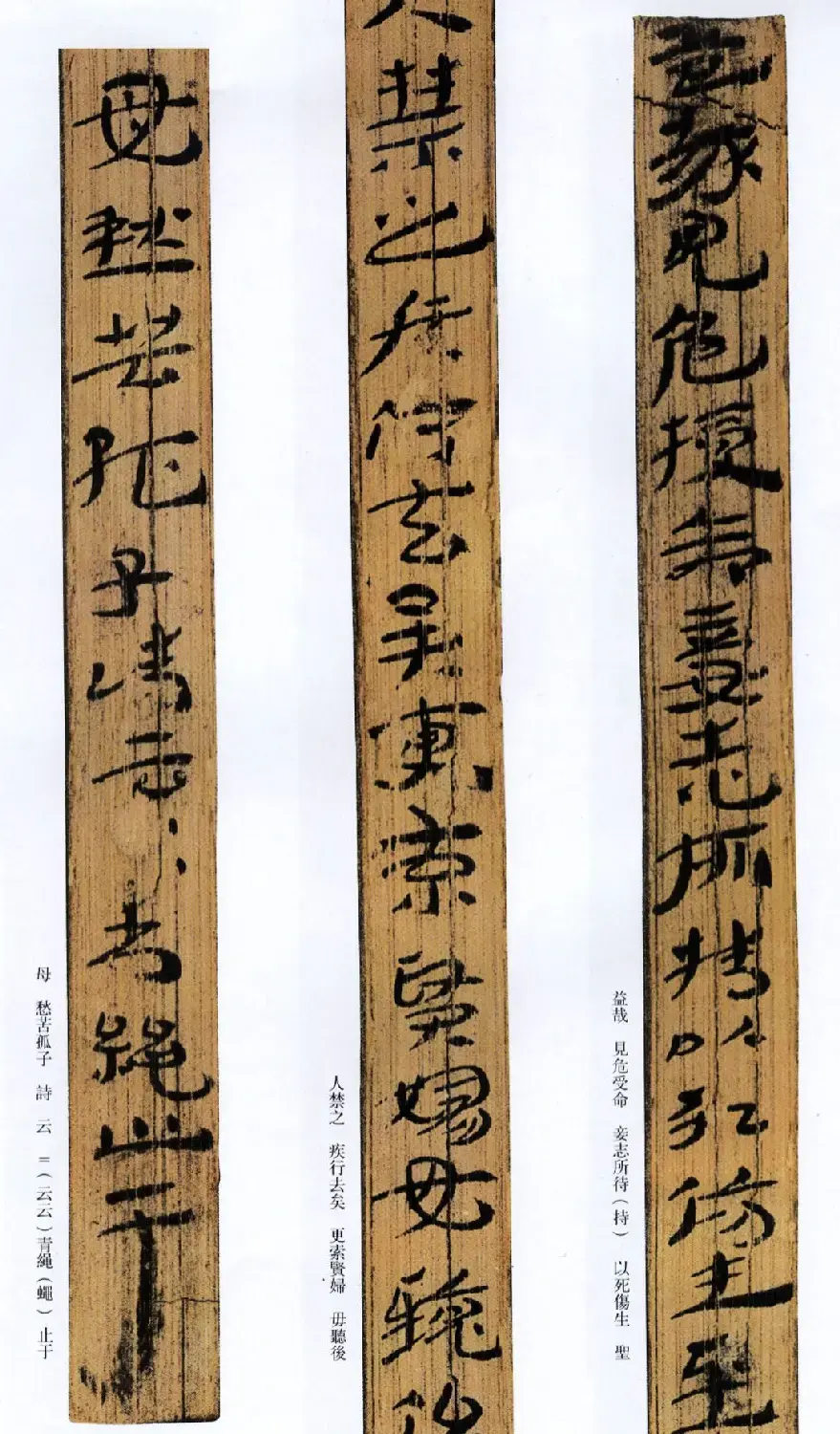 西汉草隶书法竹简《神乌傅》高清本 | 书法作品鉴赏