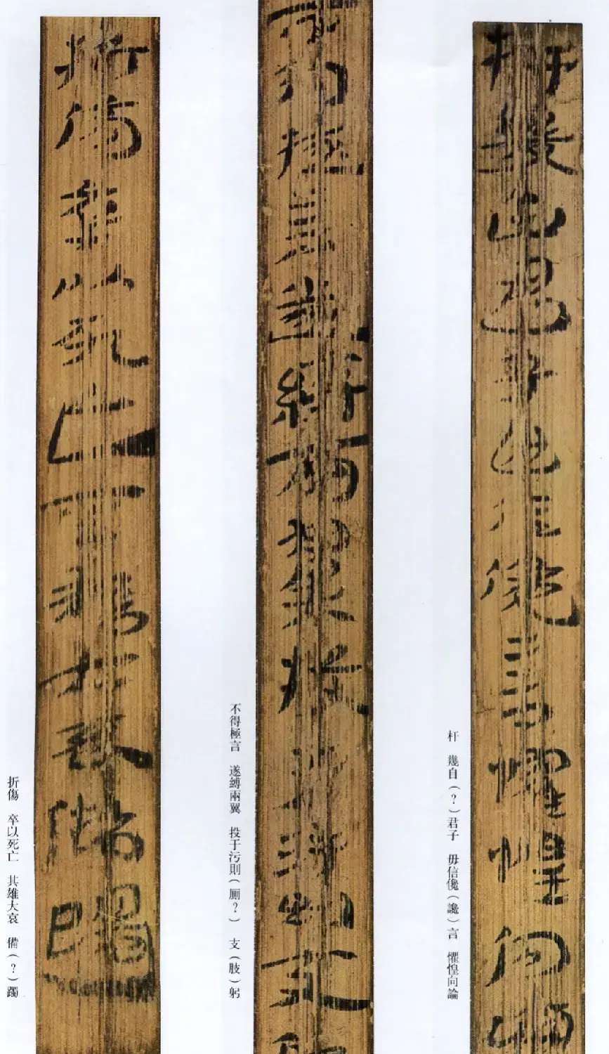 西汉草隶书法竹简《神乌傅》高清本 | 书法作品鉴赏