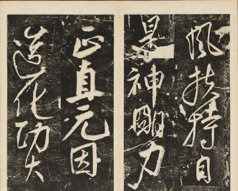 任詢草書書法欣賞杜甫古柏行 | 书法碑帖