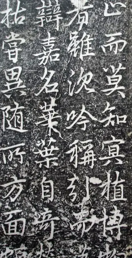 李北海李邕行书欣赏《娑罗树碑记》 | 书法碑帖