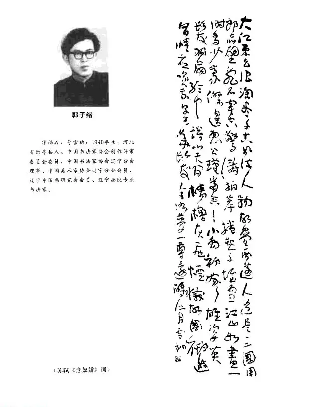 中日书法百家墨迹精华-中国书家作品 | 软笔字帖范本