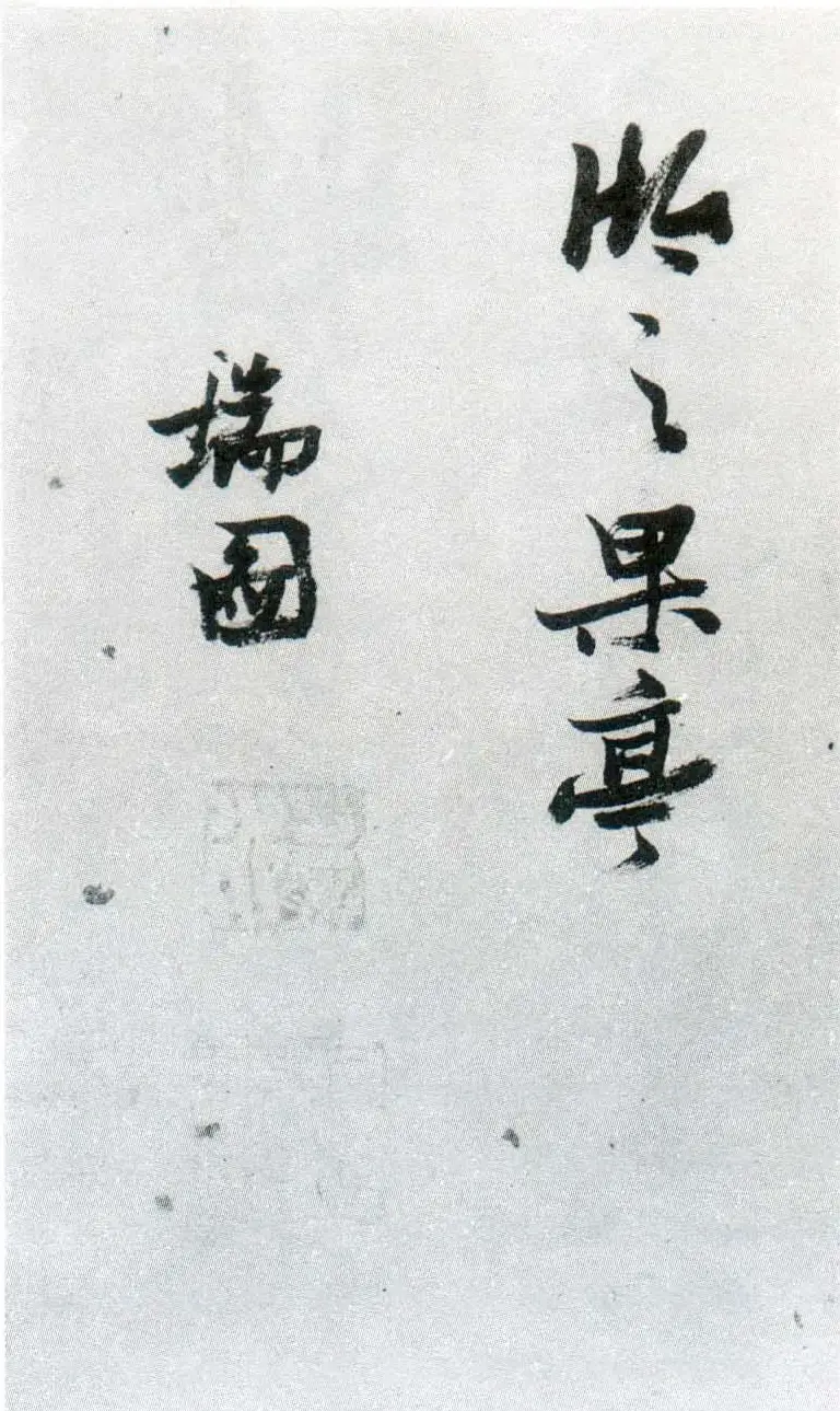 张瑞图行草书法鉴赏《岳阳楼记并诗册》 | 书法名家作品欣赏