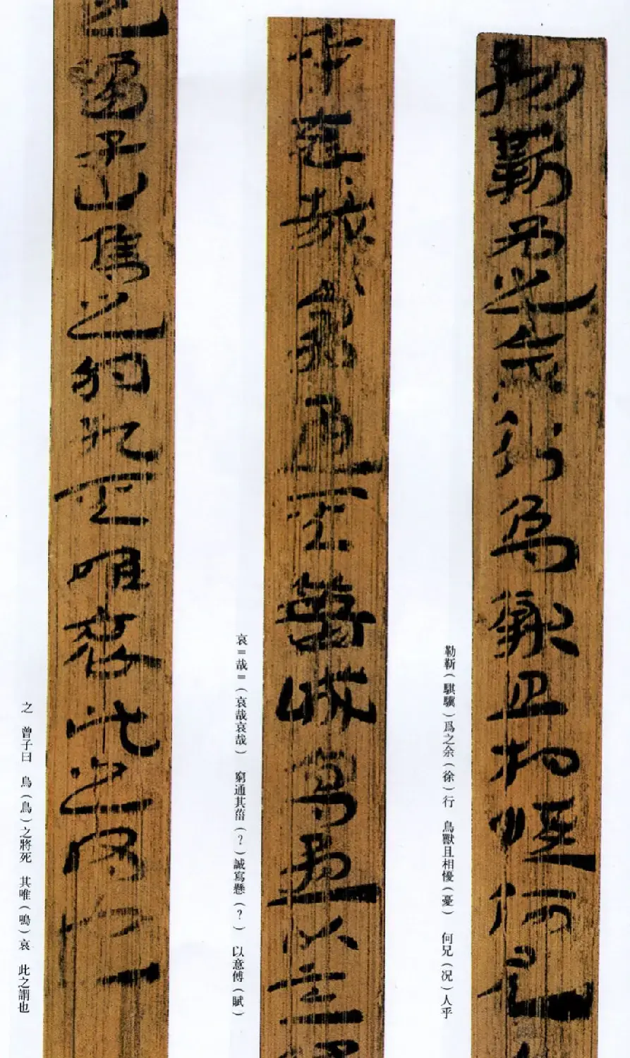 西汉草隶书法竹简《神乌傅》高清本 | 书法作品鉴赏
