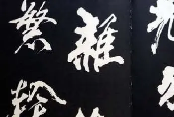 毛笔书法作品 | 米芾书法欣赏梅花赋两种